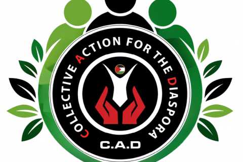 Collective Action for the Diaspora
