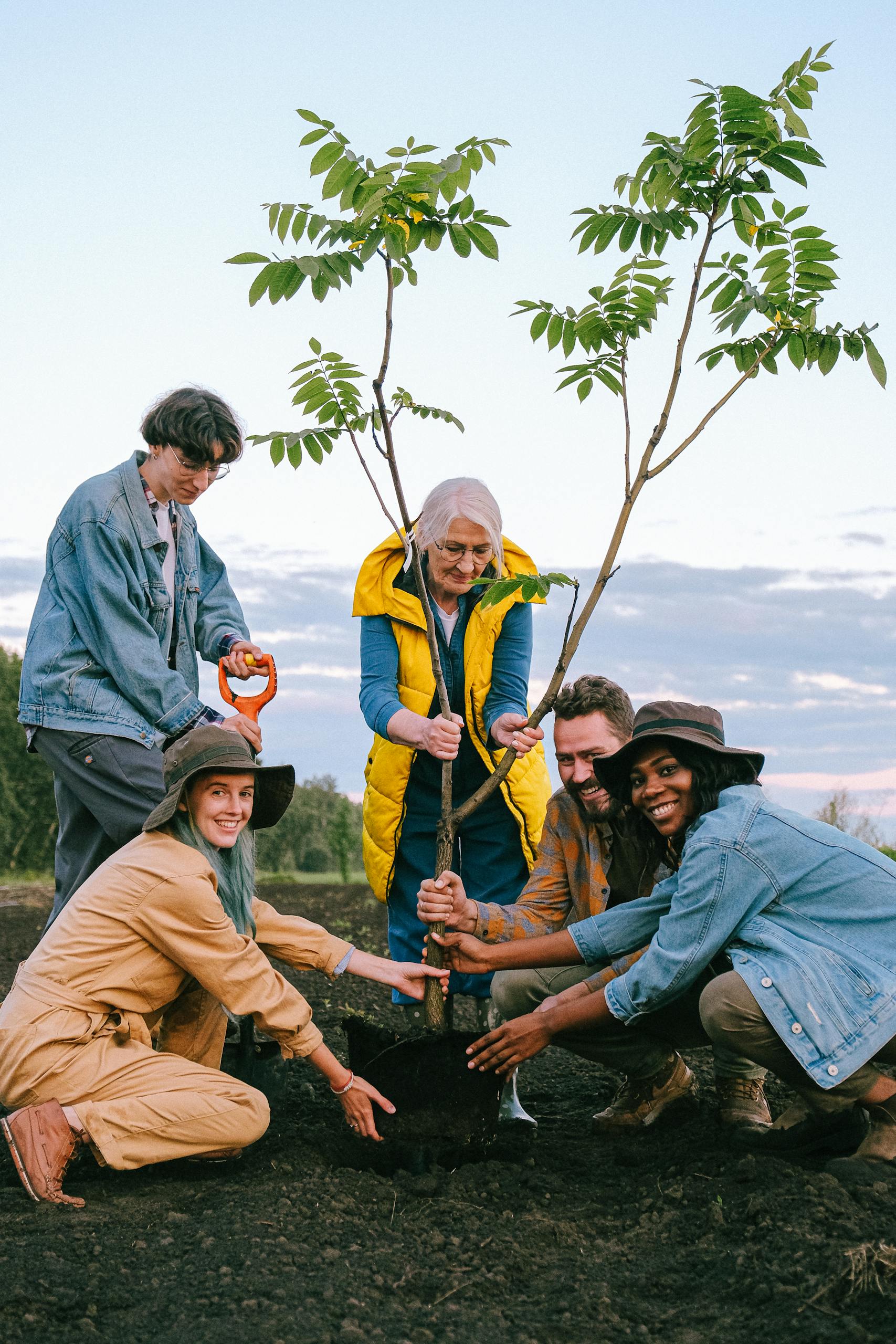 A joyful group of volunteers planting a tree outdoors, symbolizing community and teamwork.